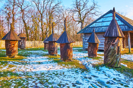 Traditional log hives amid the snowy lawn of the farmstead of Polissya region, Pyrohiv Skansen, Kyiv, Ukraineのeditorial素材