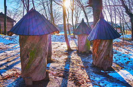 The snowy forest glade with traditional log hives, seen against the sun, Pyrohiv Skansen, Kyiv, Ukraineのeditorial素材