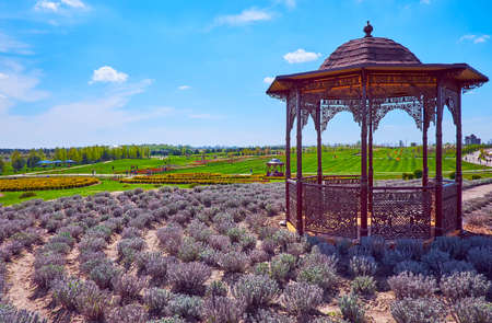 The small old fashioned pavilion amid the circles of lavender plants, Dobropark Arboretum, Kyiv Region, Ukraineの写真素材