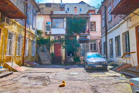 ODESSA, UKRAINE - June 18, 2021: The small cozy yard with shabby buildings and cat, lying in the sun, on June 18 in Odessaのeditorial素材