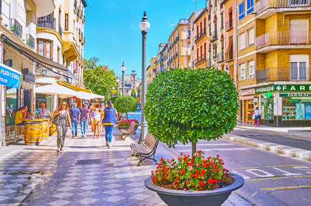 GRANADA, SPAIN - SEPTEMBER 27, 2019: The sidewalk of Plaza Nueva is decorated with topiary plants and flowers in pots, on September 27 in Granadaのeditorial素材