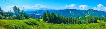 Enjoy the mountain scenery with emerald green grasses and wildflowers, Gorgany Range, Bukovel, Carpathians, Ukraineの写真素材