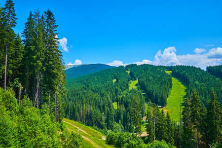 Enjoy the green mountain slopes, covered with lush spruce forests, meadows and ski trails, covered with grass during the summer season, Bukovel, Carpathians, Ukraineの写真素材