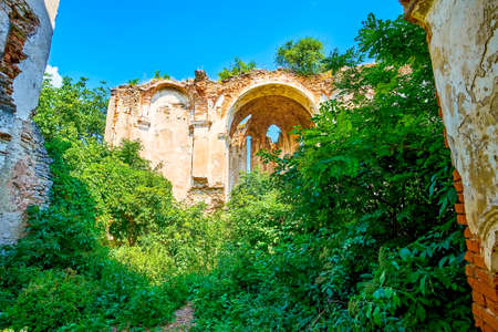 The overgrown ruins of former Dominical Toly Trinity Catedral in Medzhybizh town, Ukraineの写真素材
