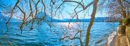 The spring brunches above the waters of Lugano Lake in Parco Ciani, Lugano, Switzerlandの写真素材
