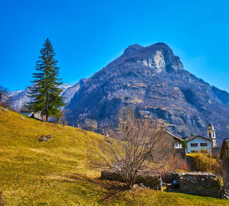 The green mountain slope with tiny houses of Sonogno village against the massive rock of Lepontine Alps, Valle Verzasca, Switzerlandの写真素材