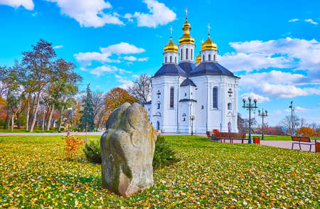 The scenic autumn park with green lawn, dry yellow fallen leaves and a view of historic St Catherine's Church, Chernihiv, Ukraineの写真素材