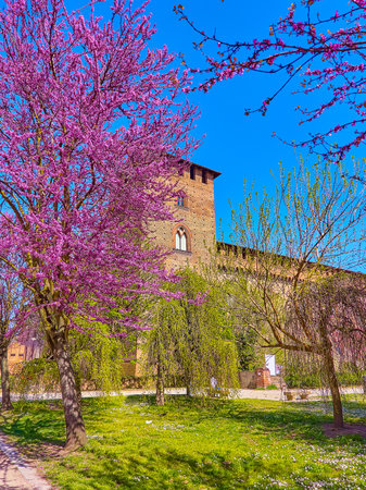 Enjoy great view on Visconti Castle and blooming trees in its park, Pavia, Italyのeditorial素材