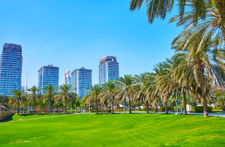 Walk down the mown lawn in Zabeel Park and watch the alley of lush palms and group of glass towers under construction in background, Dubai, UAEの写真素材