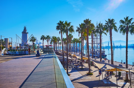 The walkking alley with palms, awnings and outdoor dinings in Malaga Port, Costa Del Sol, Spainのeditorial素材