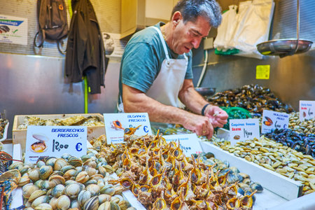 The heaps of different clams and sea snails on the counter of seafood stall in Atarazanas Market, Malaga, Spainのeditorial素材