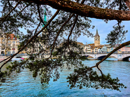 The stunning Peterskirche church framed by the pine tree branches offers a captivating view in Zurich, Switzerland.の写真素材