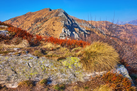 The early spring nature of Lepontine Alps - dry yellow and red grasses on the rocky slope of Cimetta Mount against the Cima Madone, Ticino, Switzerlandの写真素材