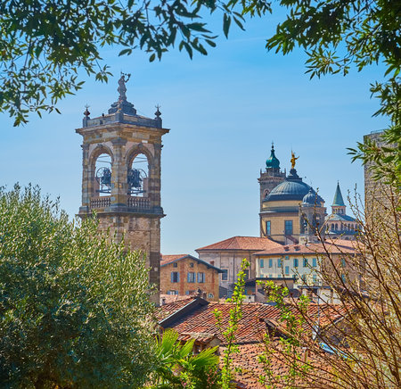 The green thickets of Rocca di Bergamo fortress park with spread olives, bushes and a view on medieval belfry of San Pancrazio Church, Bergamo Cathedral and dome of Basilica of Santa Maria Maggiore, Citta Alta, Italyの写真素材