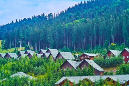 The modern wooden tourist houses, surrounded with conifer trees on the mountain slope, Bukovel, Carpathians, Ukraineの写真素材