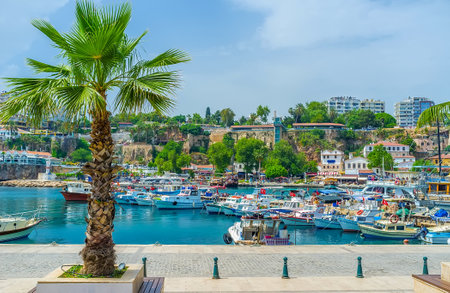 Marina in Kaleici with the high cliffs around the natural harbor is one of the most popular tourist places of resort, Antalya, Turkeyの写真素材