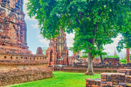 Brick ruins of ancient shrines, Wat Mahathat archaeological site, Ayutthaya, Thailandの写真素材