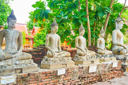 The line of statues of Sitting Buddha on grounds of ancient Wat Yai Chai Mongkhon Temple, Ayutthaya, Thailandの写真素材
