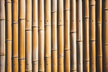 Background with yellow beautiful smooth bamboo branchesの写真素材