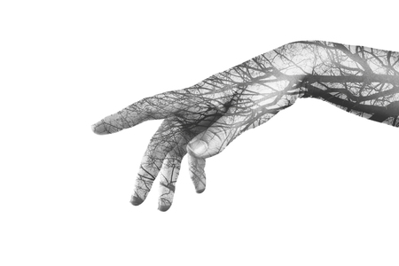 Hand with autumn tree made in the double exposure technique. Digital art. Ecology concept shows that people and nature are interrelated. One affects other.の写真素材