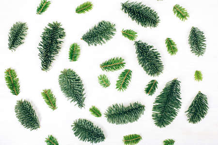 Natural christmas pattern made of fir branchesの写真素材