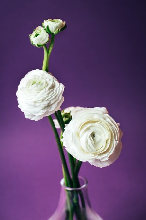 Group of flowers over Ultra Violet background.の写真素材