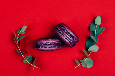 Two purple macarons on red backgroundの写真素材