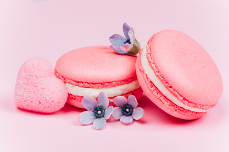 Two pink macarons with little blue flowersの写真素材