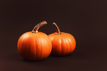 Group of pumpkins on dark backgroundの写真素材