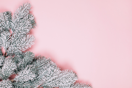Pink pastel minimalistic background with snowy branch of fir-tree. Place for text. Christmas concept.の写真素材