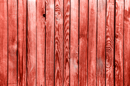 Light UltraViolet wood plank wall texture backgroundの写真素材