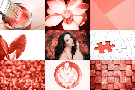 Creative collage in Living Coral color. Main trend concept. Natural and authentic mood.の写真素材