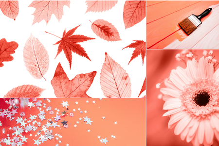 Creative collage in Living Coral color. Main trend concept. Natural and authentic mood.の写真素材