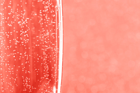 One glass of champagne on blurred background. Macro, place for text. Festive concept. Living Coral - Color of the Year 2019.の写真素材