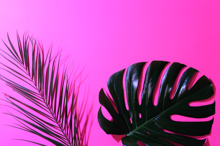 Frame of tropical leaves on bright pink background. Place for text.の写真素材