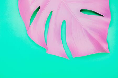 Purple painted monstera leaf on green pastel background. Close up surreal photo.の写真素材