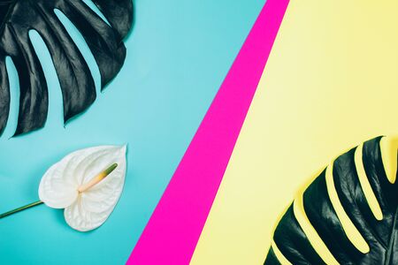 Tropical anthurium flower and monstera leaves on bright colorful background. Top view.の写真素材