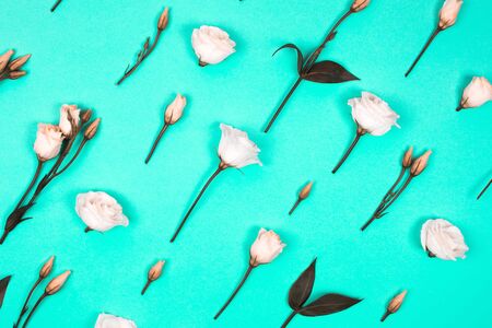 Flower pattern on trendy background. Flat lay styleの写真素材