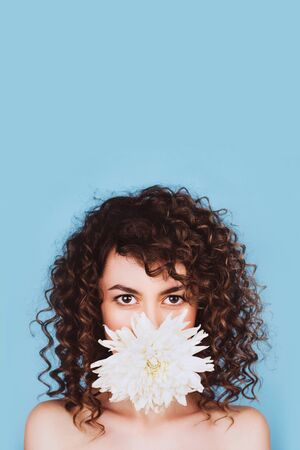 Sensuality young curly woman holding in her mouth white chrysanthemum flower on blue background.の写真素材