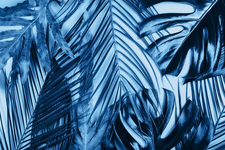 Mix of tropical green fresh leaves on turquoise background. Summer exotic pattern.の写真素材