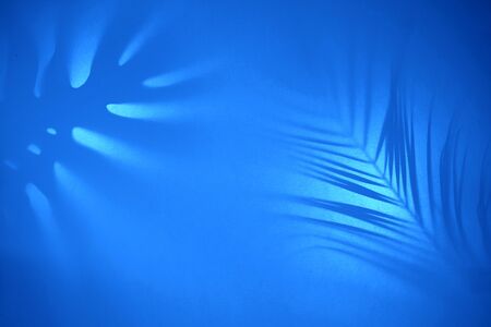 Abstract background of shadows tropical leaves on pastel backdrop in backlight. Creative concept.の写真素材
