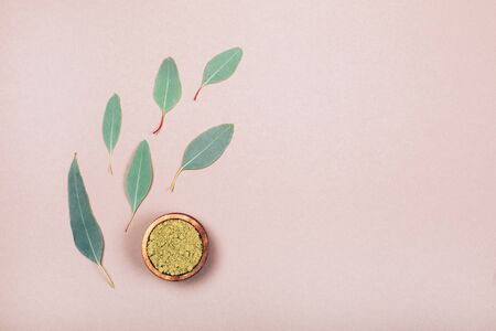 Eucalyptus leaves in different conditions. Modern apothecary. Flat lay style.の写真素材