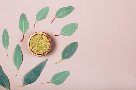 Eucalyptus leaves in different conditions. Modern apothecary. Flat lay style.の写真素材