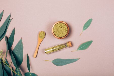 Eucalyptus leaves in different conditions. Modern apothecary. Flat lay style.の写真素材