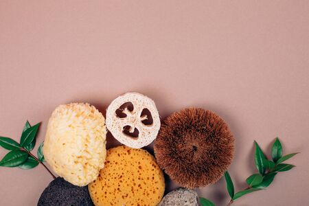 Different types of zero waste sponges for body care. Concept of eco friendly supplies for self-care. Flat lay style.の写真素材