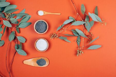 Collagen powder or white clay on orange background with Eucalyptus leaves . Flat lay style.の写真素材