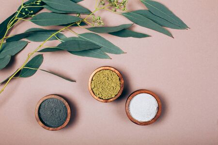 Eucalyptus leaves in different conditions. Modern apothecary. Flat lay style.の写真素材