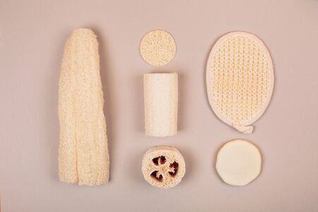Different zero waste luffa sponge. Concept of eco friendly supplies for self-care. Flat lay style.の写真素材