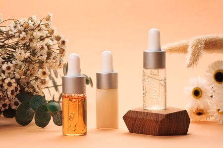Modern apothecary concept. Herbs, collagen and essential oils in still life compositionsの写真素材