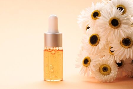 Modern apothecary concept. Herbs, collagen and essential oils in still life compositionsの写真素材
